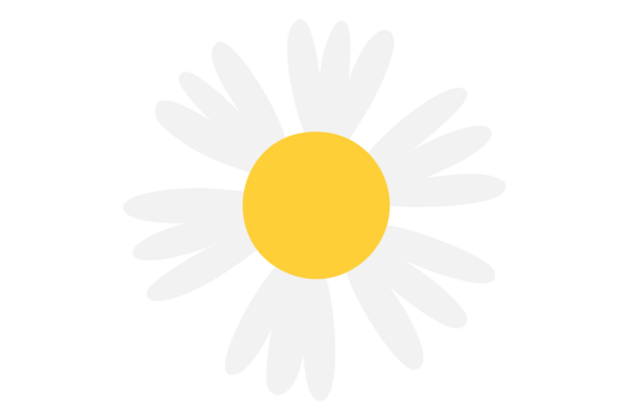 Download Flower with White Petals and Yellow Cent - Premium Resources