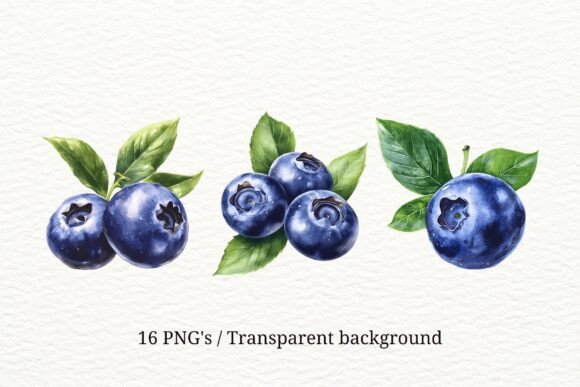 Download 16 Blueberry PNG Clipart Set - Berry png Collection