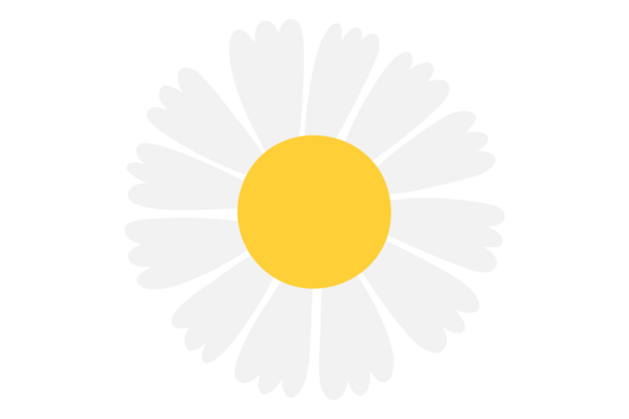 Download Flower with White Petals and Yellow Cent - Premium Resources